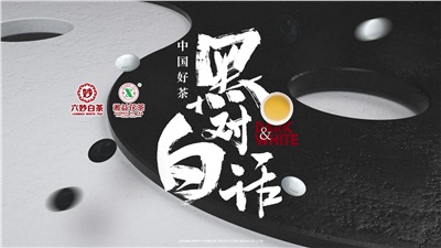 首屆黑白對話(huà)高峰論壇圓滿(mǎn)落幕！湘益茯茶備受關(guān)注！