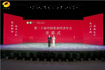 【聚焦第二十屆中國茶業(yè)經(jīng)濟年會(huì )】益陽(yáng)茶廠(chǎng)榮獲“民族團結互助企業(yè)”、“2024年度茶業(yè)重點(diǎn)企業(yè)”榮譽(yù)稱(chēng)號